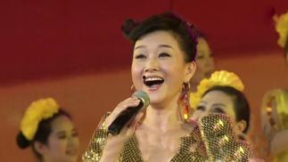 芦花歌曲视频,探寻歌曲背后的故事与情感